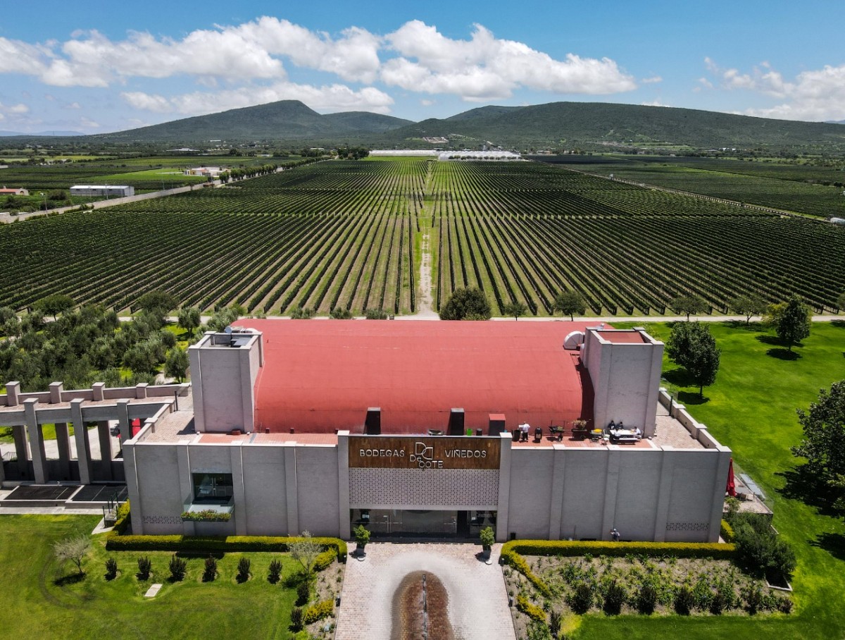 Vino Mexicano: De Cote
