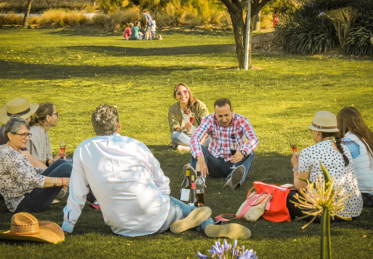 Picnic